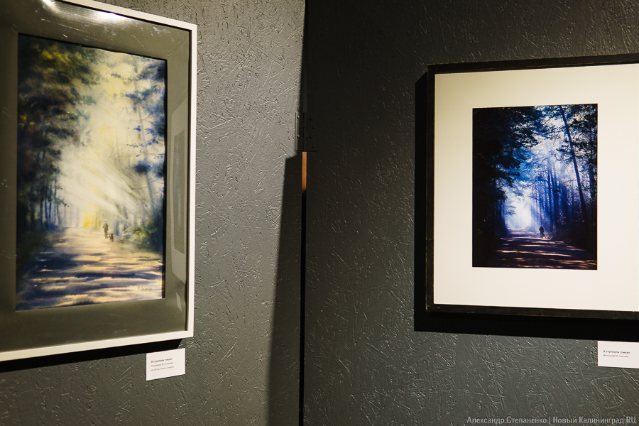 «О чем молчат деревья»: в Воротах открылась выставка, воспевающая придорожные аллеи (фото)