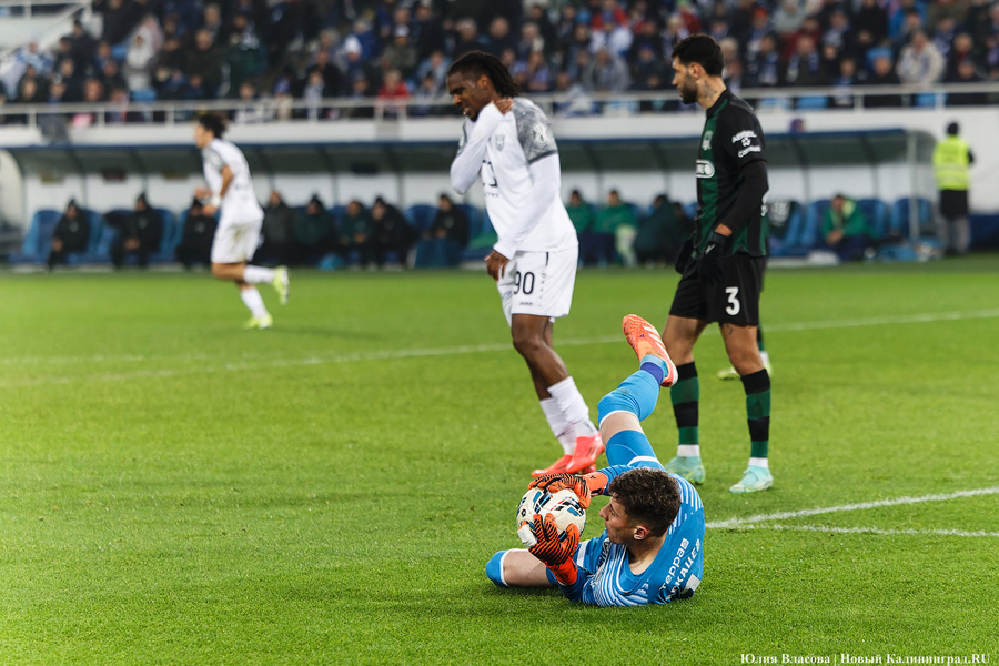 Ничья почти равна победе: как «Балтика» пободалась с «Краснодаром» (фото)