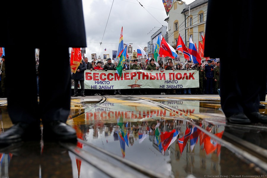 Вечная память: шествие «Бессмертного полка» в Калининграде