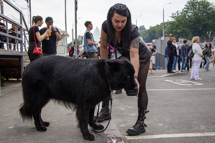 Калининградский рок жив: как в Пионерском прошёл благотворительный фестиваль (фото) (видео)