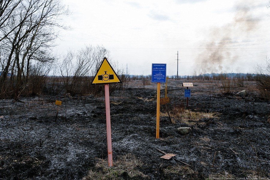 Анонсированный Алихановым подряд по газопроводу в Балтийск никто не взял