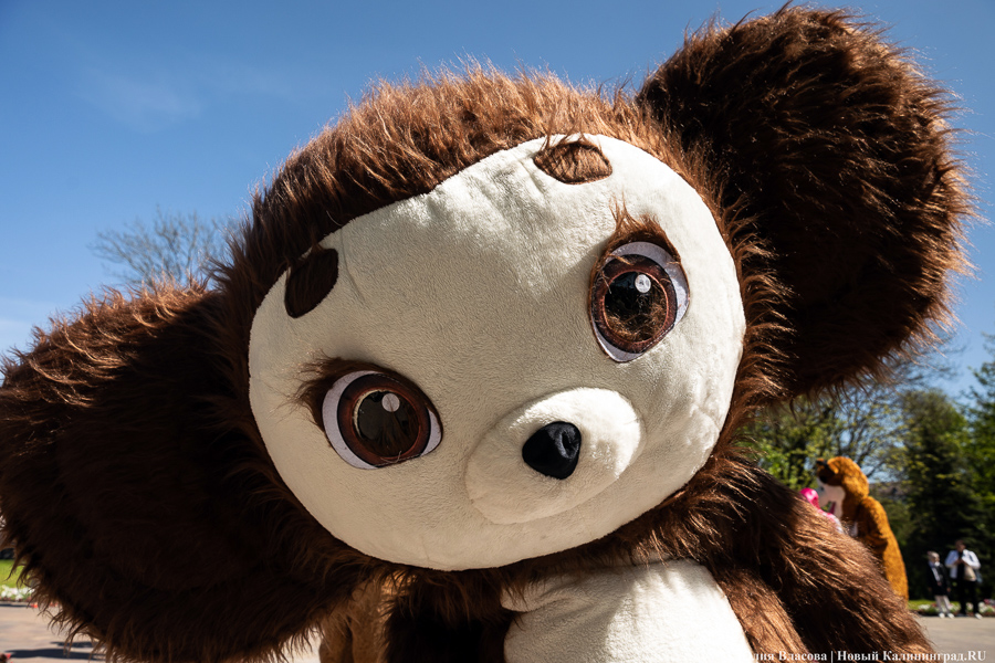 Калининградские магазины оштрафовали после иска «Союзмультфильма»