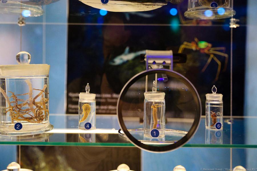 На уникальной глубине: что представляет собой новый комплекс ММО