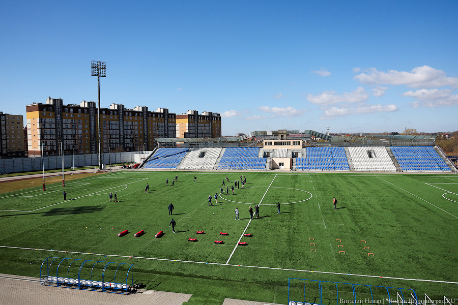 «Балтийский шторм»: в Калининградской области создали профессиональную команду по регби (фото)