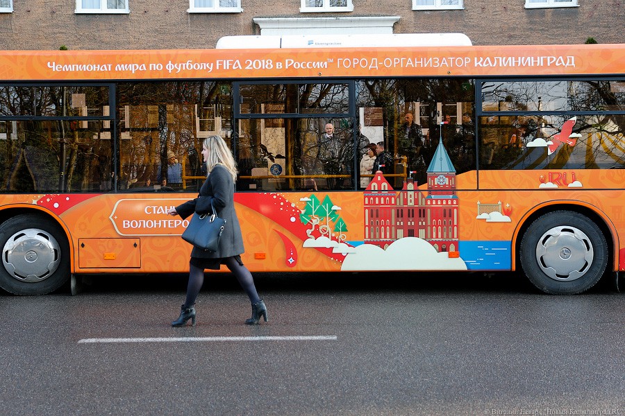В день матча со Швецией в Калининграде продлевают работу общественного транспорта
