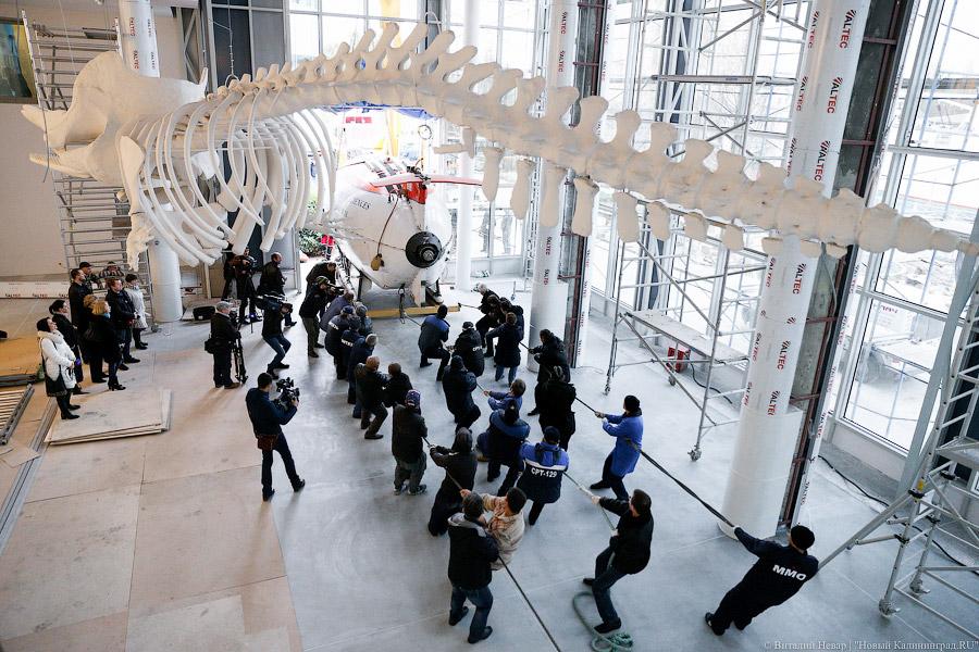 Как увидеть «Титаник»: в Музей Мирового океана привезли глубоководный «Мир»