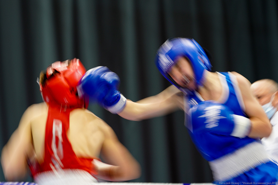 Очередной нокдаун: в Калининграде прошёл международный турнир по боксу «Янтарные перчатки»