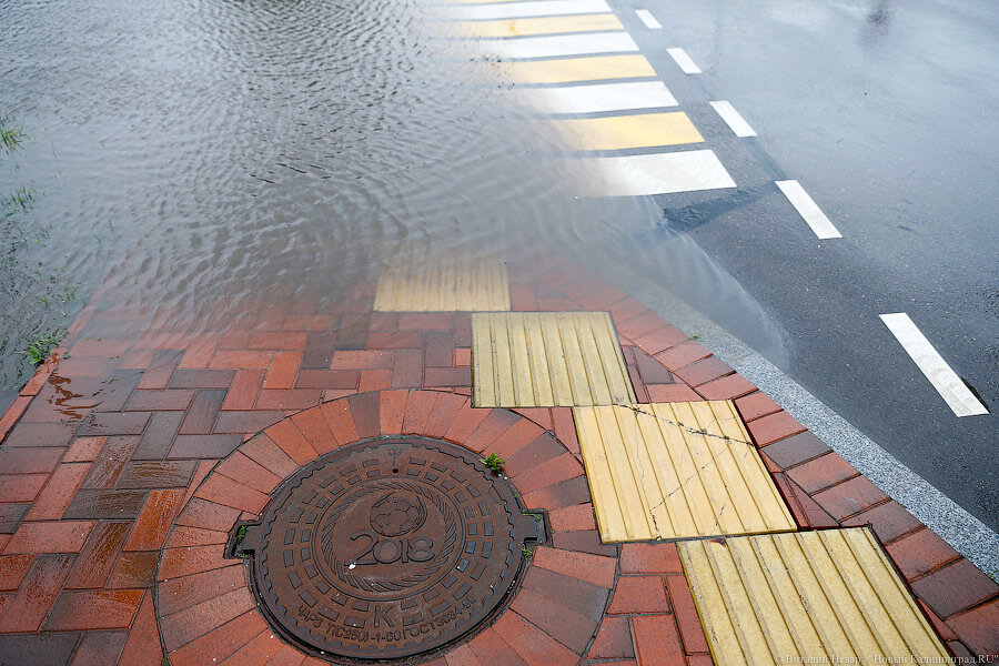 «Это ошибка»: в мэрии Калининграда прокомментировали использование бетонной тактильной плитки