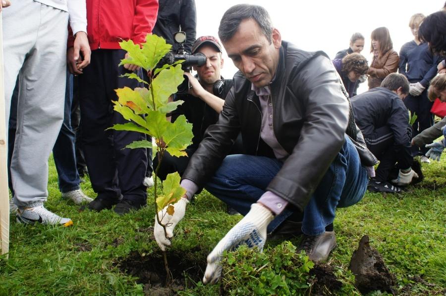 «Елки-палки»: фоторепортаж «Нового Калининграда.Ru»