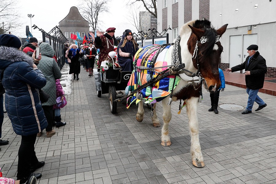 Косплей на Елизавету II: как прошёл День длинной колбасы в Музее Мирового океана