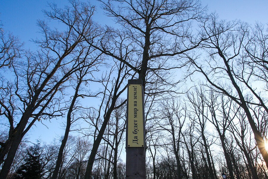 В Гурьевске возбудили уголовное дело из-за продажи 20 участков земли по заниженной цене