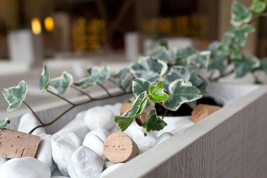 Новое место: «Weiss Cafe» в торговом центре «Мега»