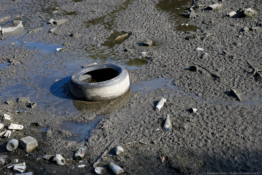Прокуратура: в Краснознаменске горадминистрация нарушила природоохранное законодательство