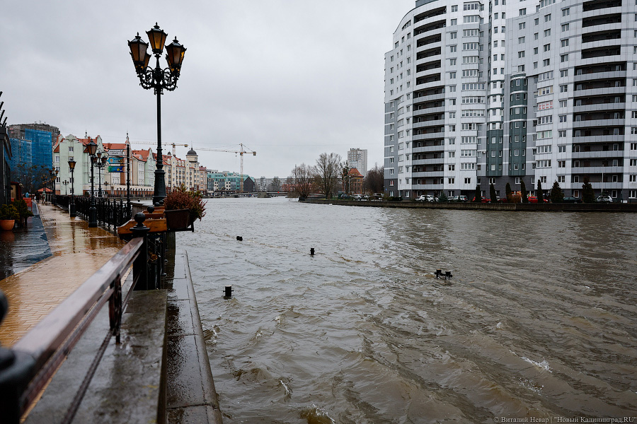 Уходим под воду: как выглядел тонущий Калининград (фото)