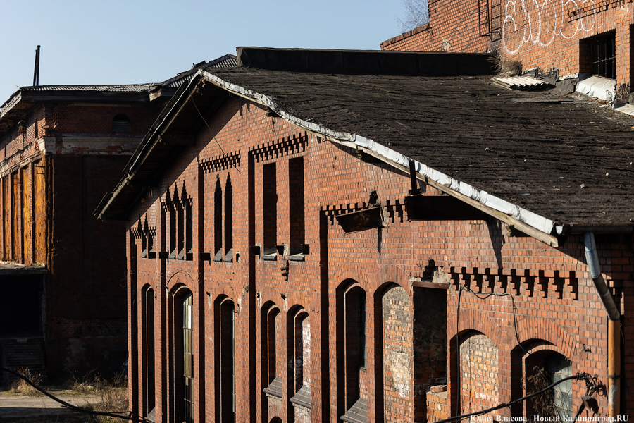 След Розенау: как выглядит заброшенный мясокомбинат на Аллее Смелых (фото)