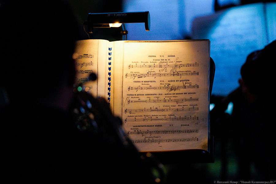 Опера с Хабенским: на острове Канта открылся фестиваль «Территория мира» (фото)