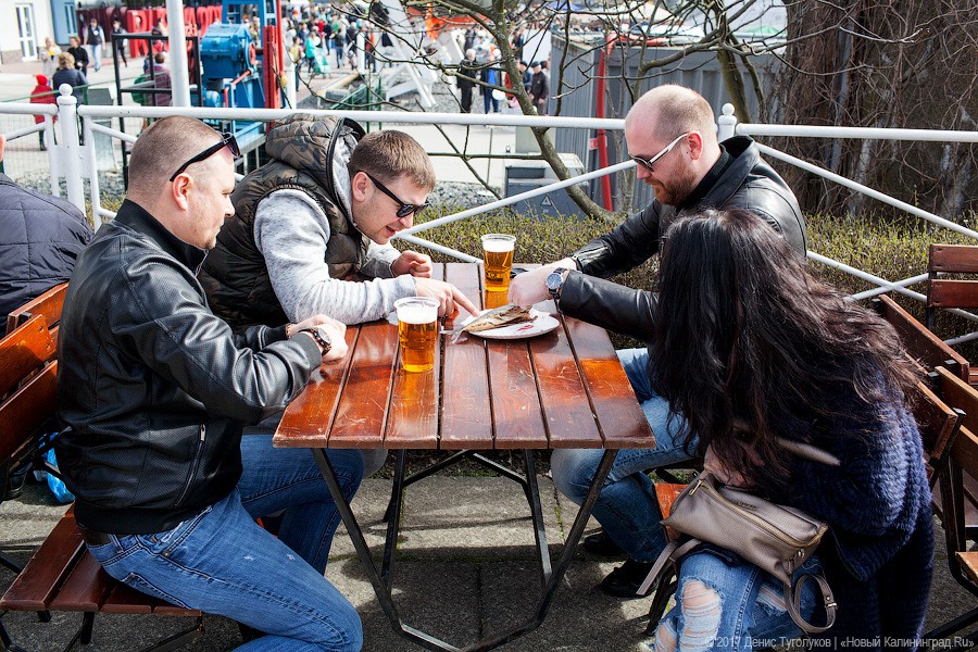 Салаке и корюшке на заметку: как прошёл День селёдки в Калининграде