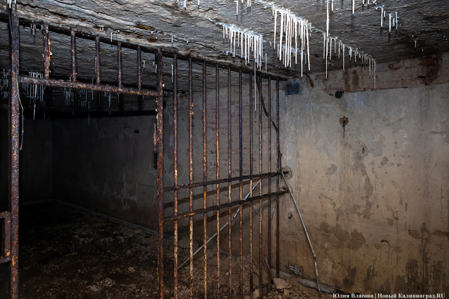 Настоящие подземелья Кёнигсберга: что находится в открывшемся провале на острове Канта (фото)