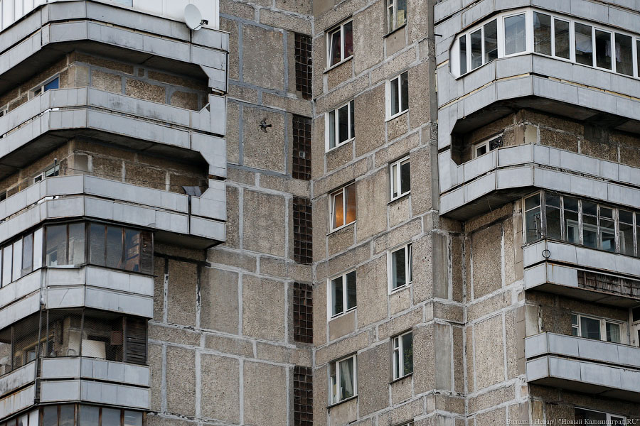 Фото — Виталий Невар, «Новый Калининград.Ru»