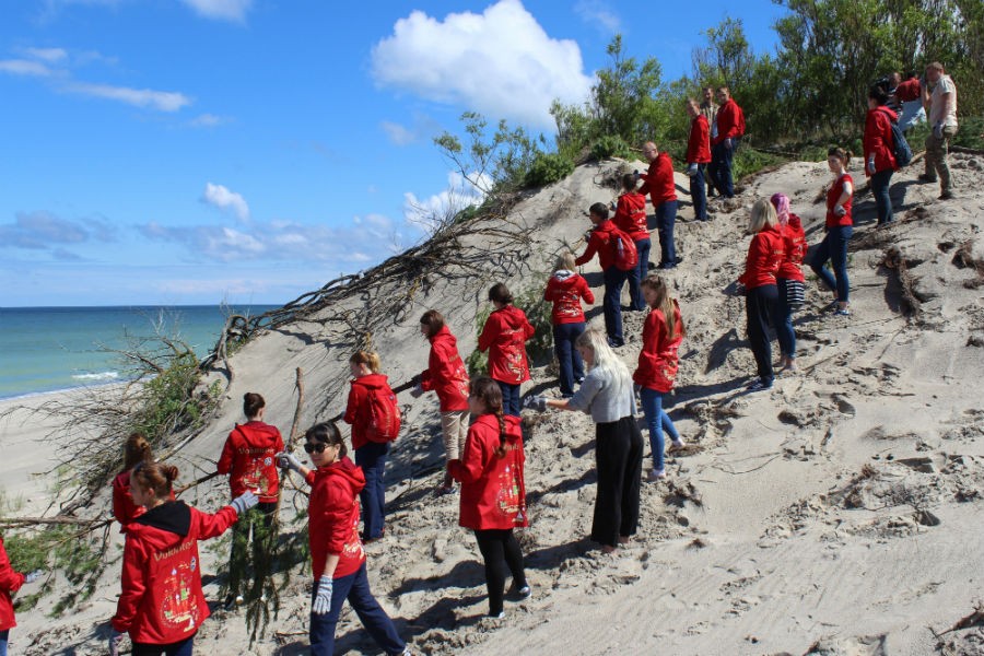 Волонтеры ЧМ из 8 стран укрепили авандюну и выстроились в надпись «Куршская коса»