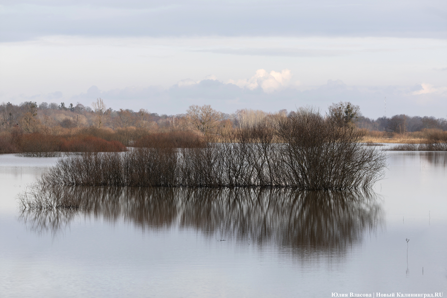 В Орске после прорыва дамбы обнаружили тела двоих погибших
