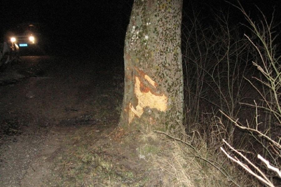 В Нестеровском районе сгорел автомобиль, столкнувшийся с деревом (фото)