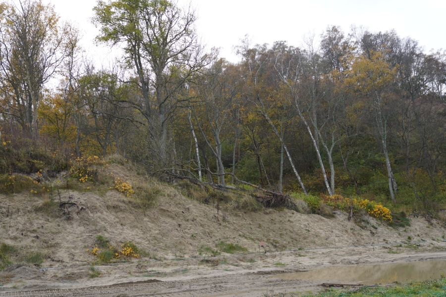 Лысеющие склоны: в Светлогорске готовятся застраивать побережье (фото)