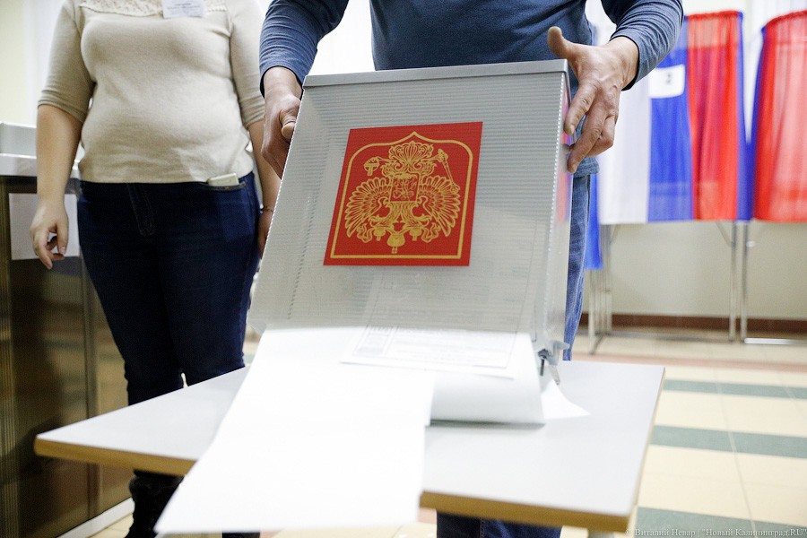 Легитимизируя данность: как в Калининграде проходил подсчет голосов (фото)