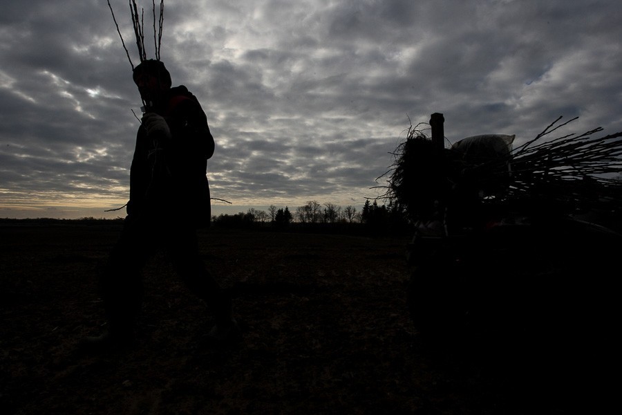 УМВД: «замаскированный»  под дачника вор совершил серию краж в СНТ Калининграда