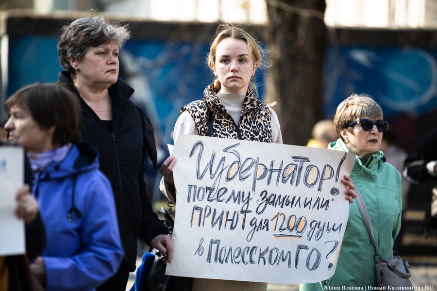 В защиту братьев меньших: в Калининграде прошёл митинг против убийства животных (фото)
