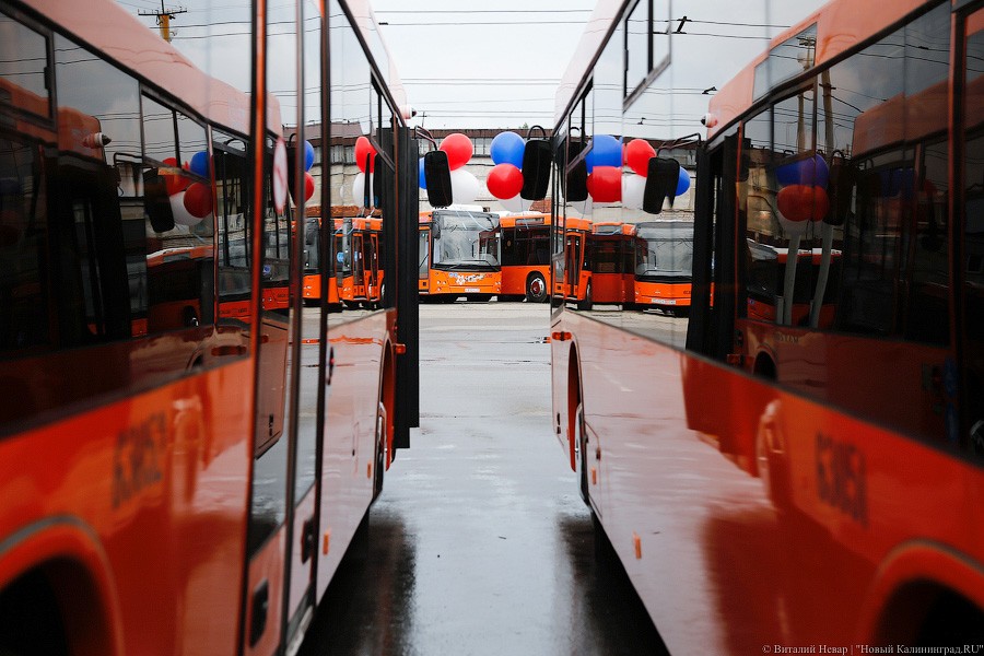 С оранжевыми автобусами и потрохами: «ГорТранс» готовы отдать инвесторам