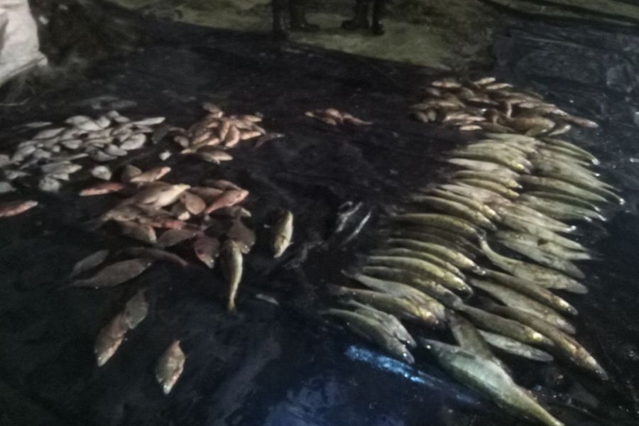 Под Мамоново поймали браконьера с уловом на 220 тыс. рублей