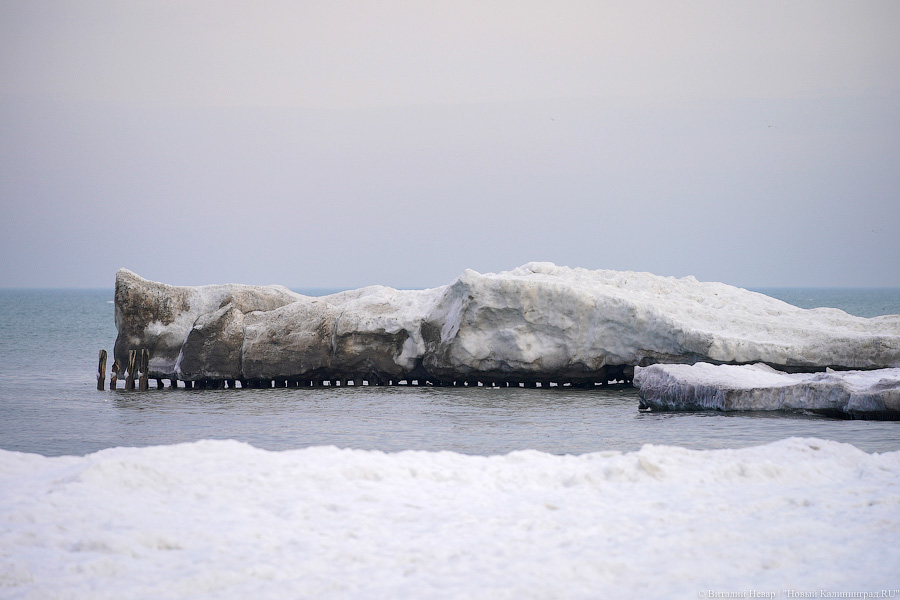 В Калининградской области массово гуляют по морскому льду, несмотря на запрет МЧС (фото)