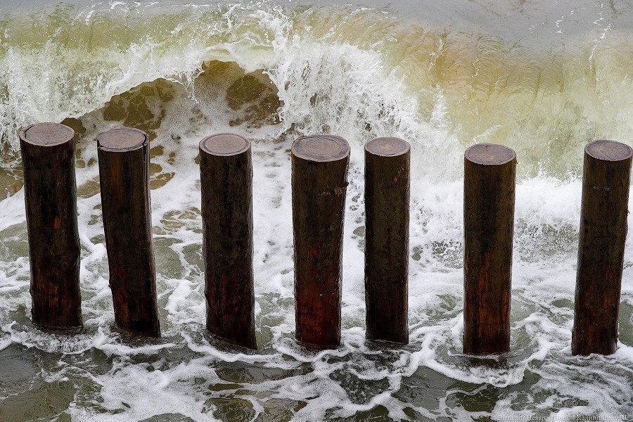 Много лиственницы и чуть песка: как выглядит светлогорский «пляж»  