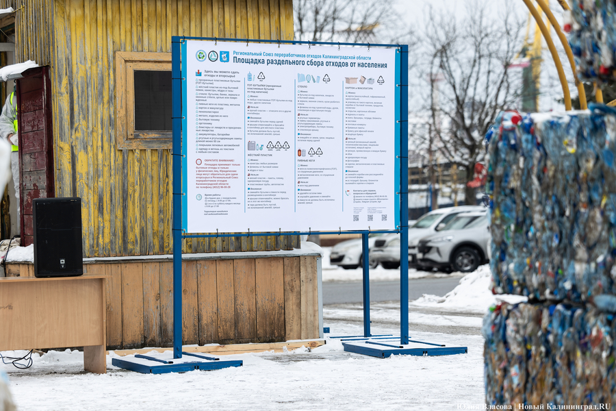 «Ничего на свалку не уйдет»: в Калининграде стали раздельно собирать 14 видов отходов (фото)