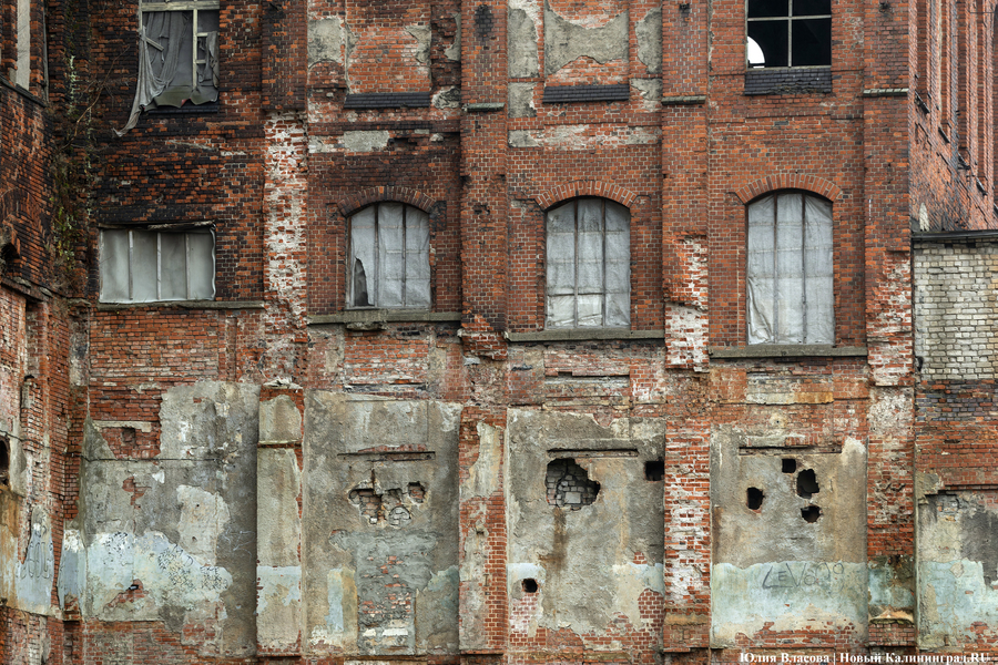 Постапокалиптический пейзаж: что происходит с территорией бывшего ЦБЗ-1 (фото)