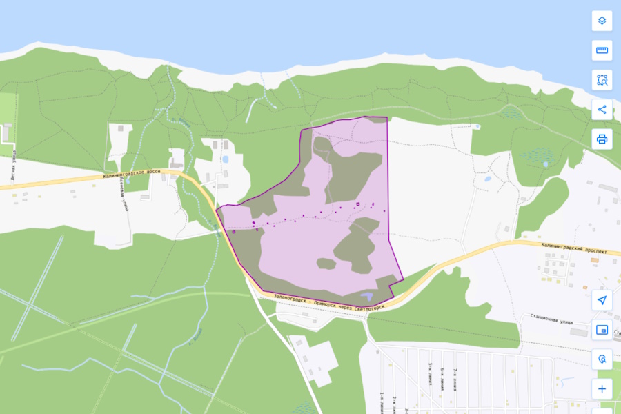 Скрин: Национальная система пространственных данных