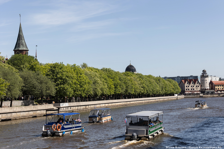 Фото: Юлия Власова / Новый Калининград 