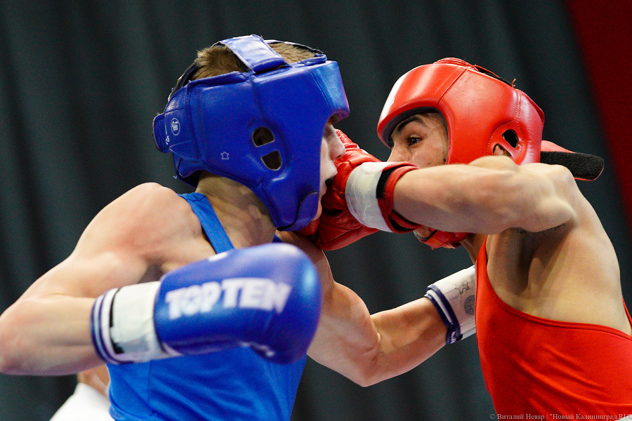 Очередной нокдаун: в Калининграде прошёл международный турнир по боксу «Янтарные перчатки»
