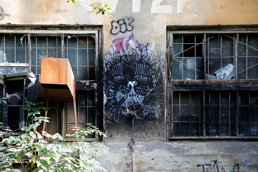 Горвласти обратились в прокуратуру из-за опасного здания бывшего завода на Клинической