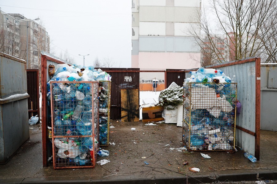 Союз переработчиков: раздельный сбор мусора в Калининграде начался еще в 2012 году