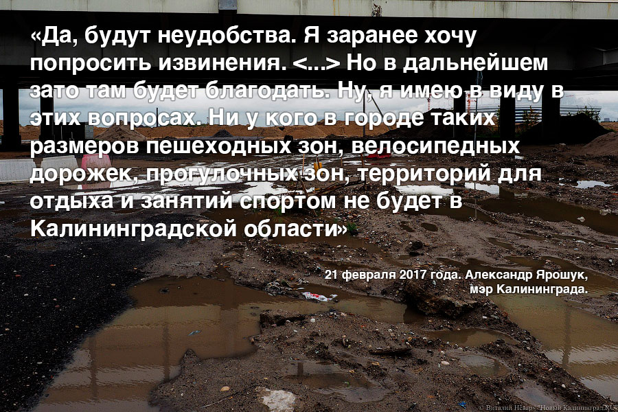 «Радоваться и поддерживать»: сборник вдохновляющих цитат о будущем Острова