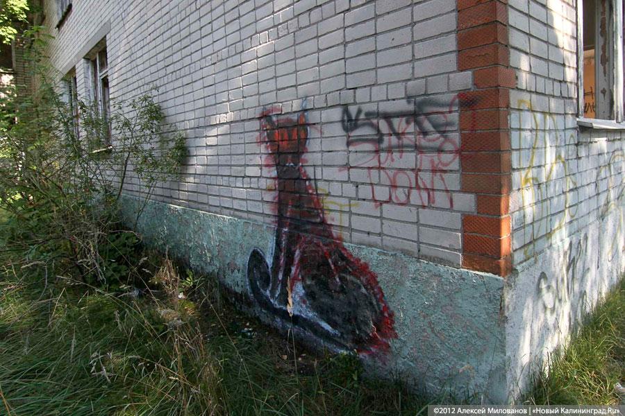 «Куда ушли детские сады»: фоторепортаж «Нового Калининграда.Ru»