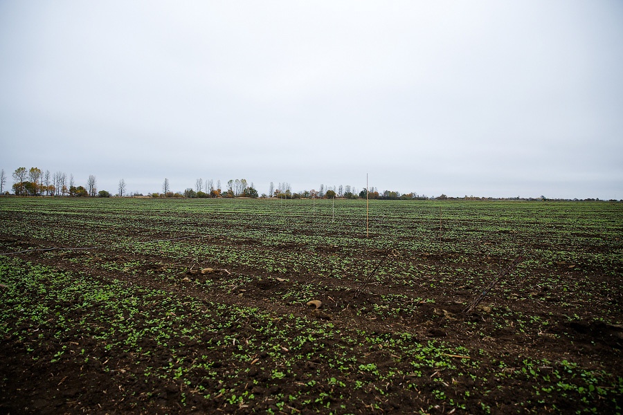 Фото — Виталий Невар, «Новый Калининград.Ru»