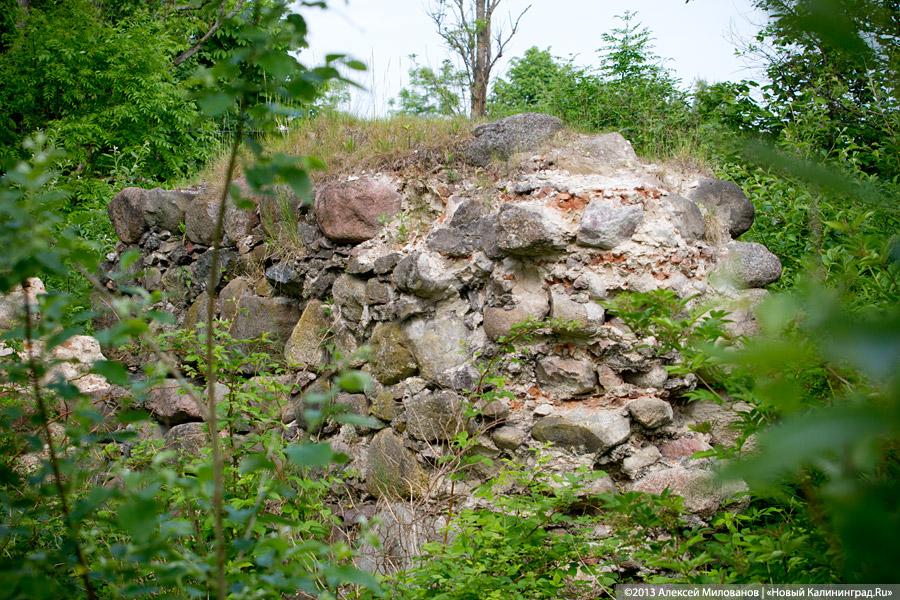 Валуны в лопухах: в Ярославском разрушается полузабытая кирха