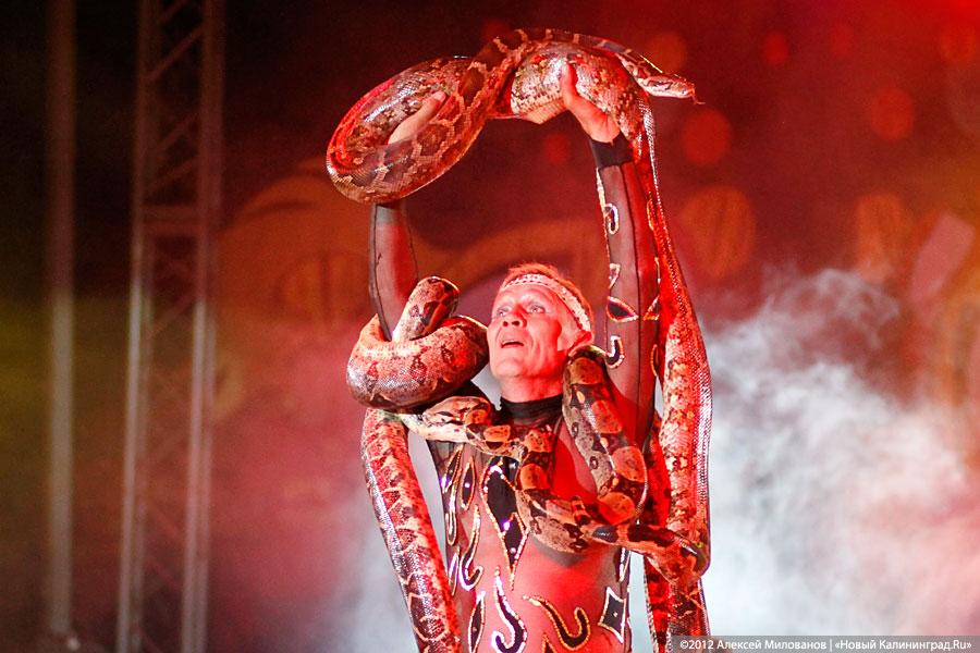 «Цирк в подарок»: фоторепортаж c премьеры цирковой программы