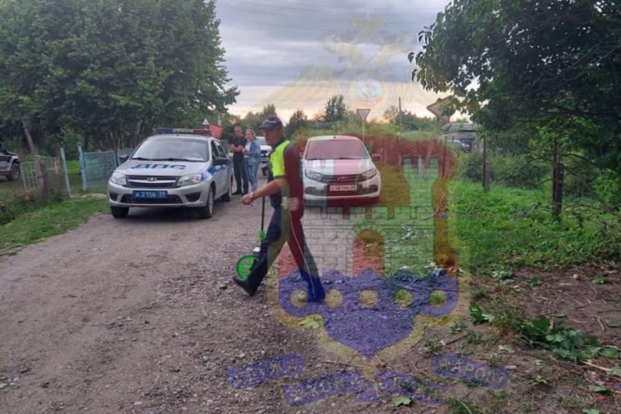 Полиция разыскивает автомобилиста, сбившего в Гусеве двух детей 