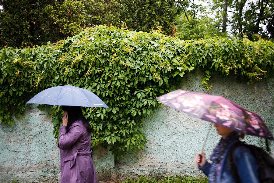 На неведомых дорожках: дендропарк калининградского Экоцентра