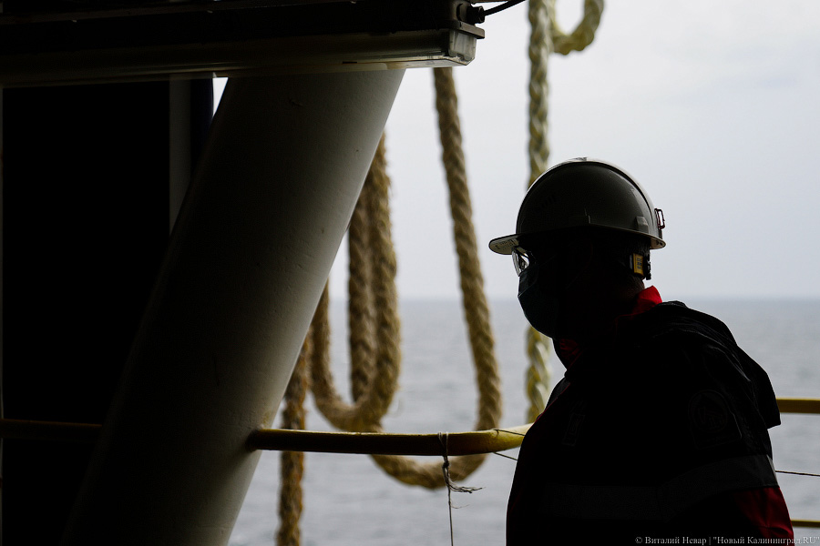 Прилетит вдруг волшебник: как голосовали на платформе «Д-6»