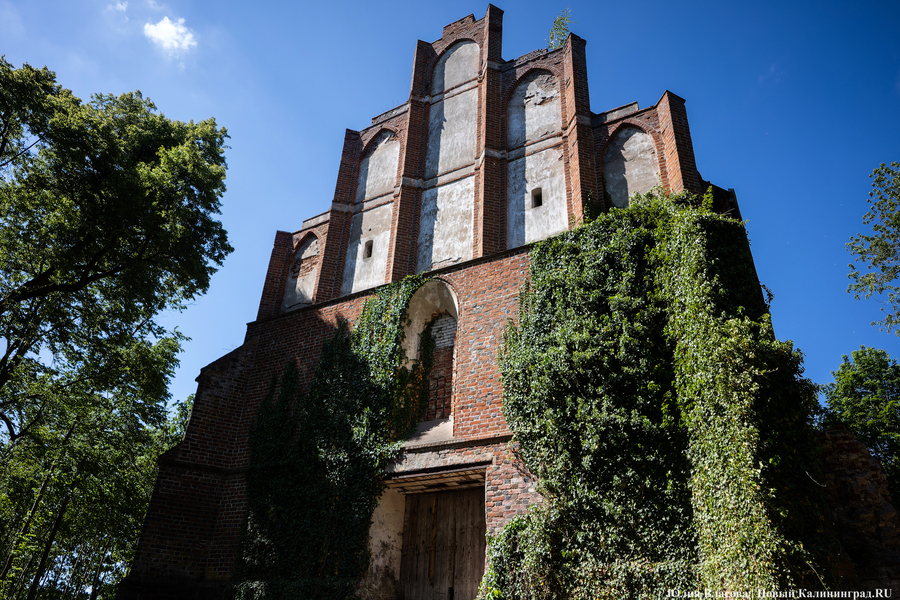 «Готическое Кольцо» старинных кирх: как прошло путешествие по новому маршруту (фото)